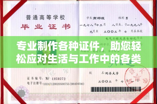 景洪专业制作各种证件，助您轻松应对生活与工作中的各类需求